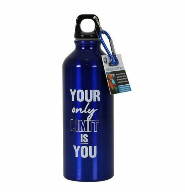 Thermal Bottle Bewinner Aluminium 500 ml 6,5 x 21 cm (12 Units)